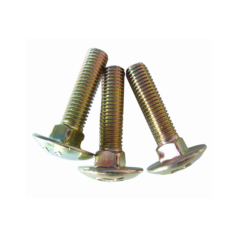 Stainless Steel Mushroom Bolt