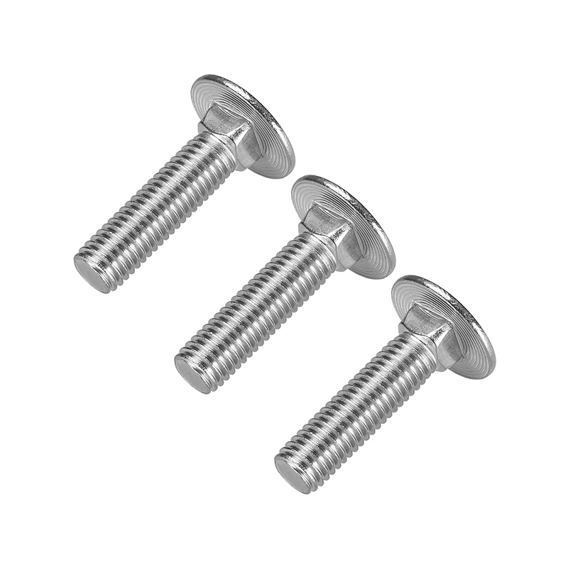 Stainless Steel Mushroom Bolt