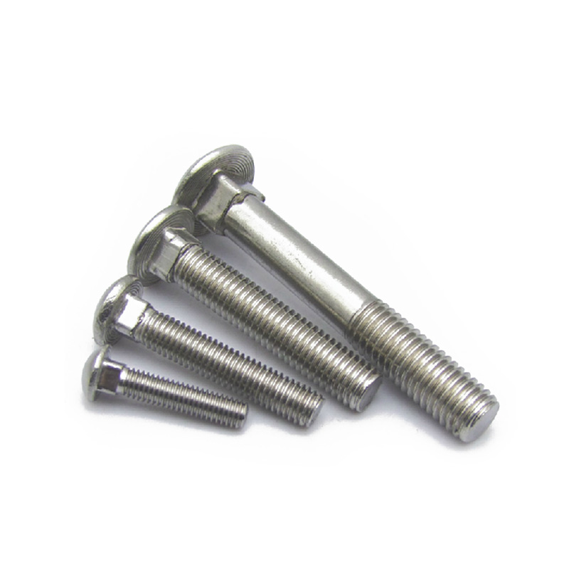 Stainless Steel Mushroom Bolt