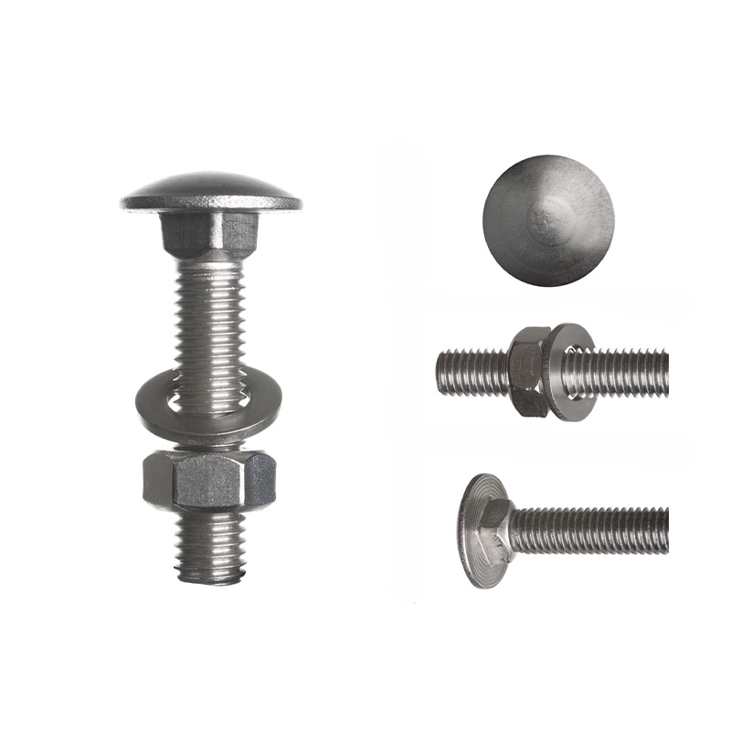 Stainless Steel Mushroom Bolt