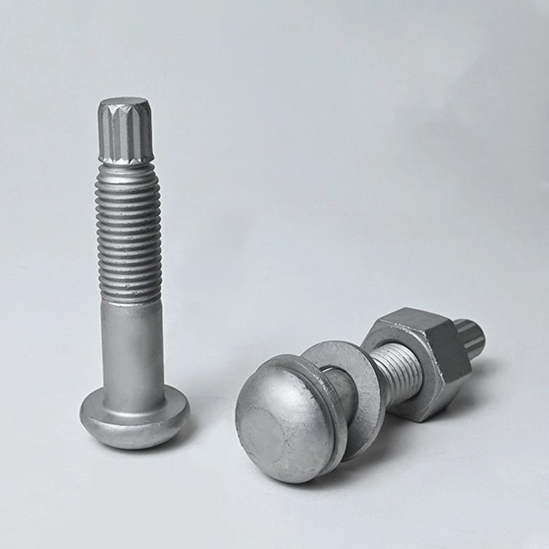 ASTM F2280 A490 Torque Shear Bolt Hot-Dip Galvanized